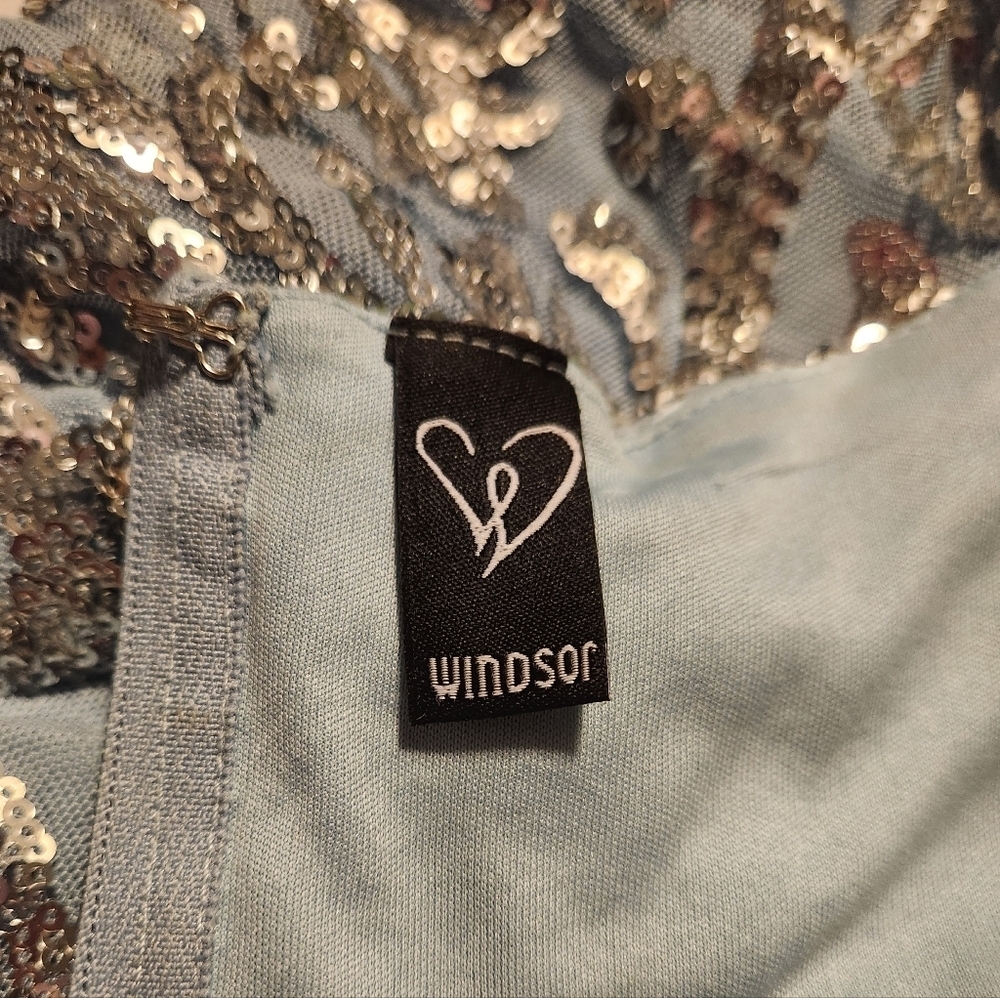 Windsor Carter Sequin Scroll A-line Formal Dress - Picture 14 of 15